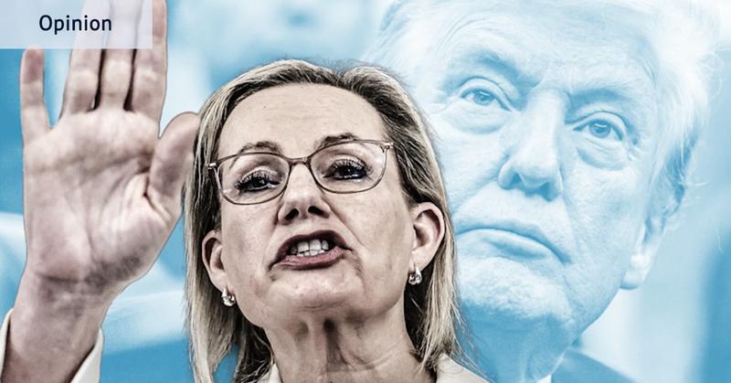 Two words in Sussan Ley’s nonsensical net zero press conference might come back to haunt her