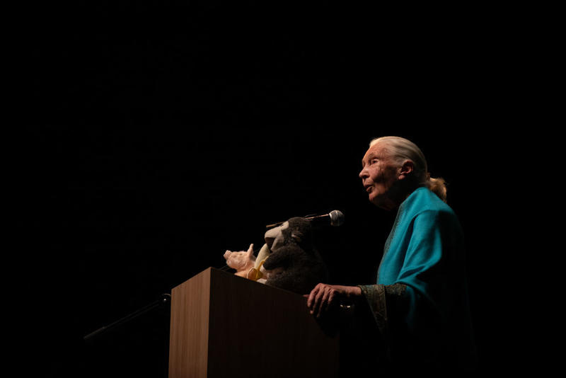 Jane Goodall’s Memory Lives On Jane Goodall’s Memory Lives On