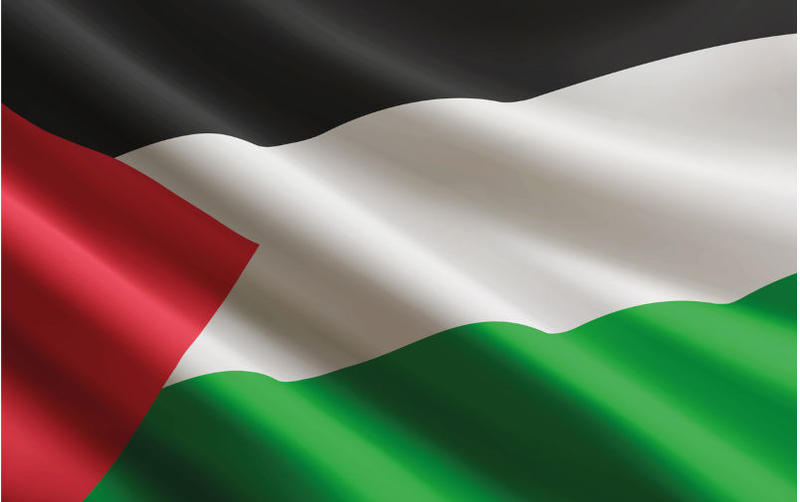 Building a strategic movement for Gaza