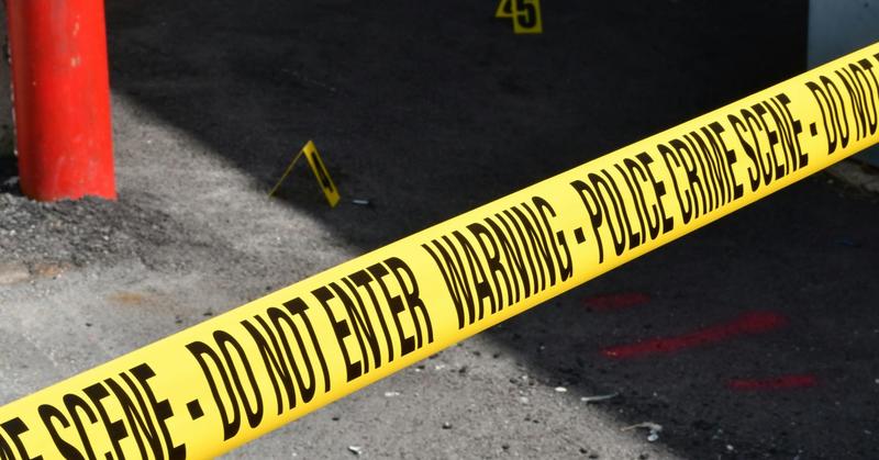 Who Do We Call a Predator?