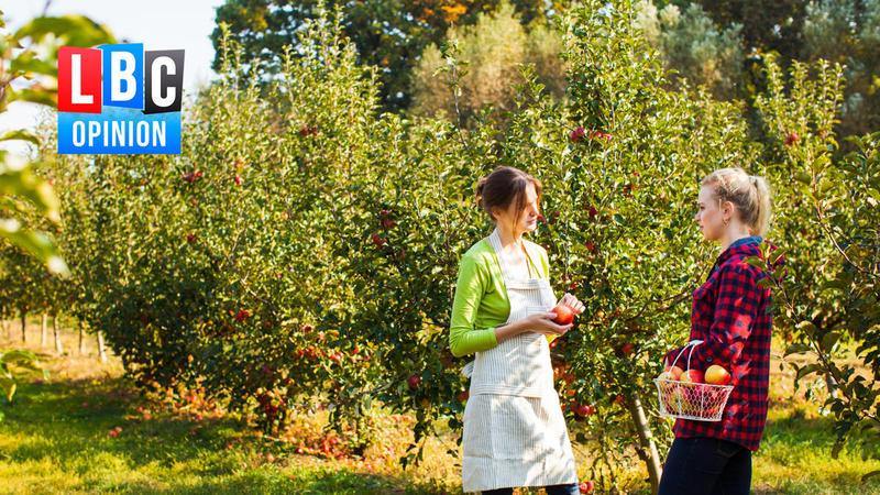 Britain needs a National Nature Service - not another failed gamble on the private sector, writes Carla Denyer MP