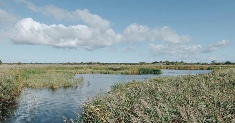 Officials scrap plans for changes at Norfolk Broads beauty spot after furore