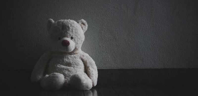 Menina estuprada em SC mostra risco da decisão da Câmara sobre aborto