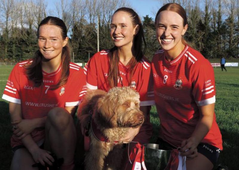 Maigh Cuilinn and Loughrea have the scope to claim All-Ireland club double Maigh Cuilinn and Loughrea have the scope to claim All-Ireland club double