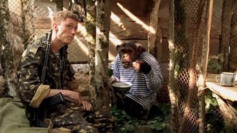 «Ни капли в рот» — общественник хайпанул на предложении проведения Нового года «сухим»