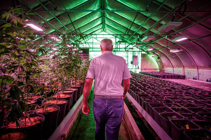 Hemp Farmers Say Provision in Bill Ending Shutdown Will Decimate Their Industry Hemp Farmers Say Provision in Bill Ending Shutdown Will Decimate Their Industry