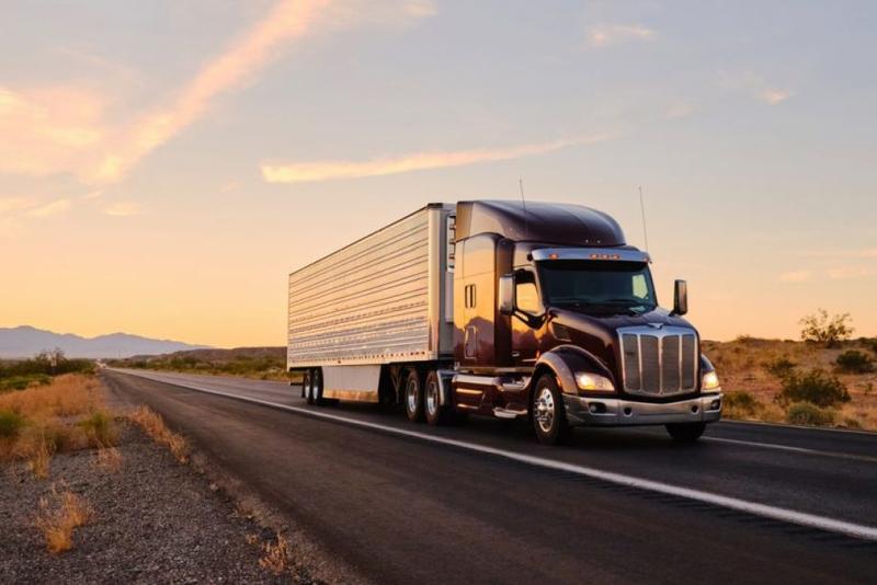 Newsom caves on illegal immigrant drivers licenses Newsom caves on illegal immigrant drivers licenses