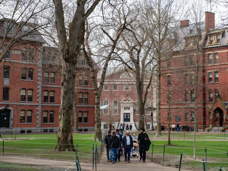 Chris Selley: Who will stop our kids from getting dumber? Chris Selley: Who will stop our kids from getting dumber?