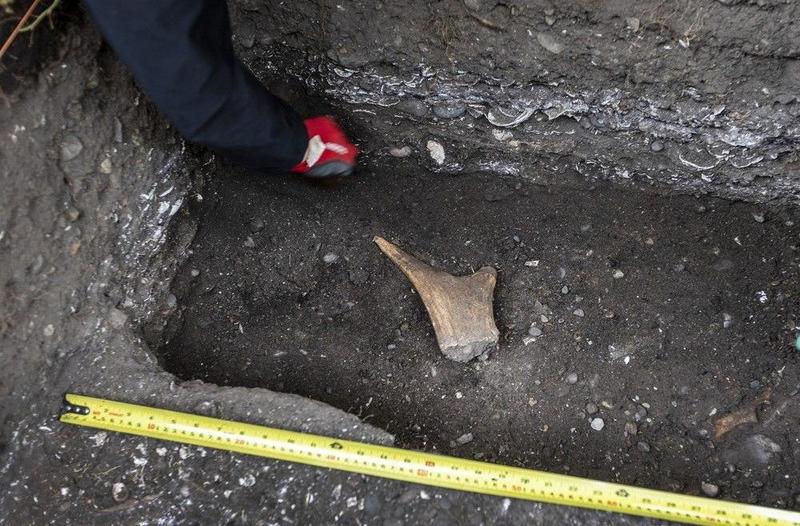 'Nobody is happy with it': B.C.'s heritage act still a half-baked rush job, municipal leaders warn