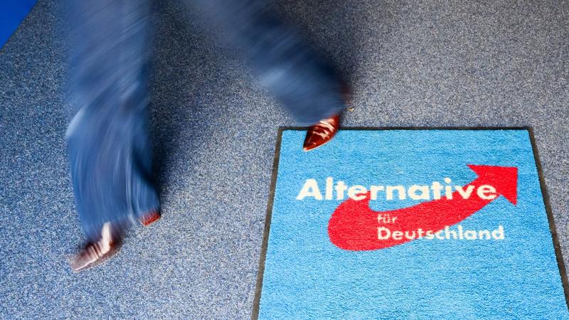 Die AfD steigt in Umfragen massiv – und ein wesentlicher Grund ist Friedrich Merz