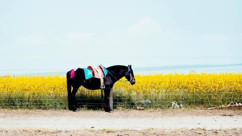 How China Is Turning Climate Action Into Economic Strategy – OpEd How China Is Turning Climate Action Into Economic Strategy – OpEd