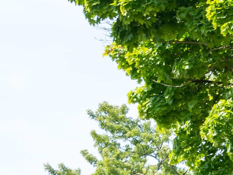 Le rêve ontarien Le rêve ontarien
