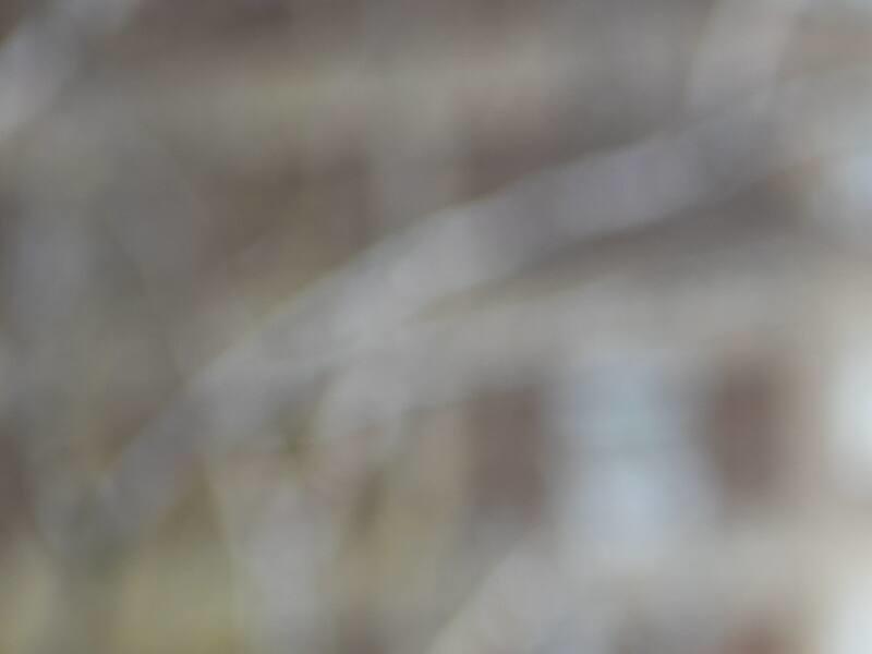 La construction de l’ennemi intérieur La construction de l’ennemi intérieur