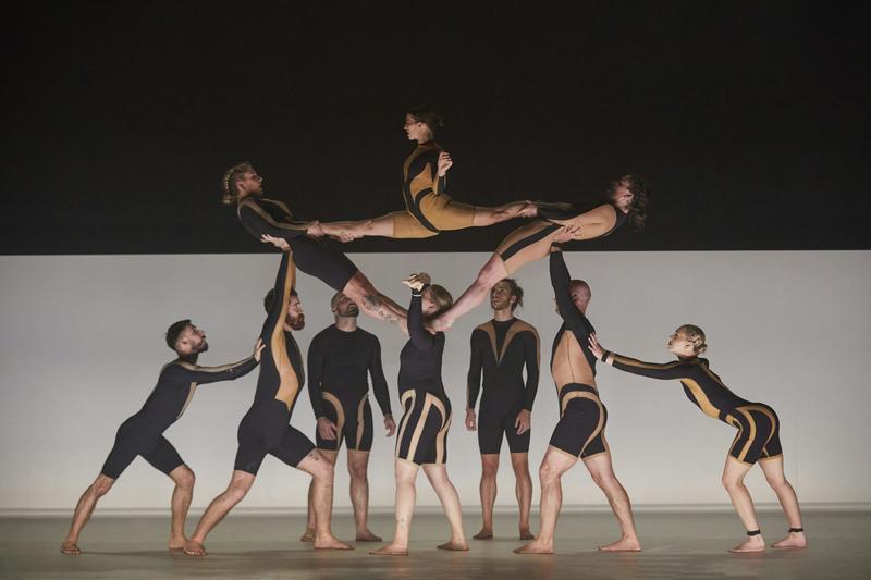 Circa’s Wolf is a triumph – brimming with primal power and acrobatic precision