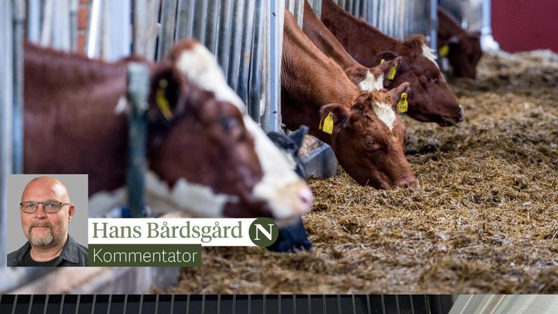 Metanhemmere kommer kanskje ikke tilbake