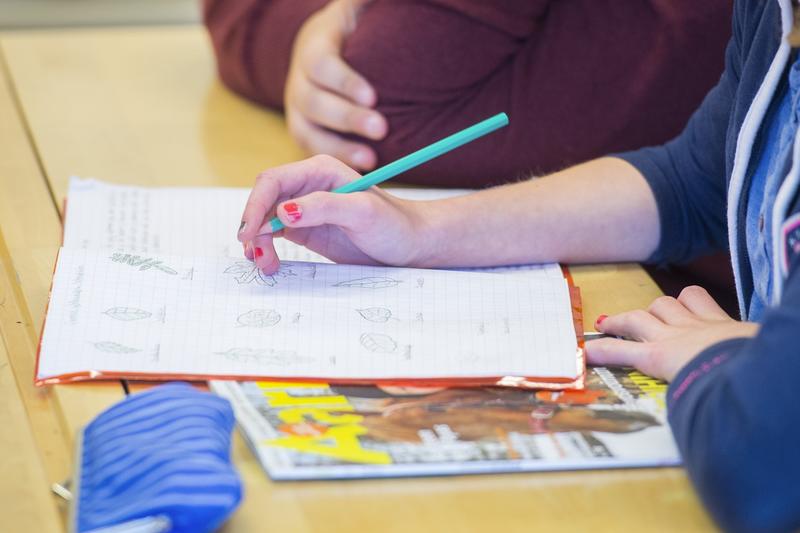 Koulutus | Yliö: Koulu tarvitsee suunnan, tuen ja vaatimustason nostoa