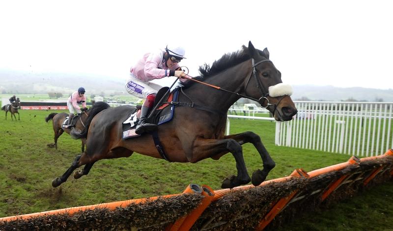 Three wagers for Cheltenham’s November meeting