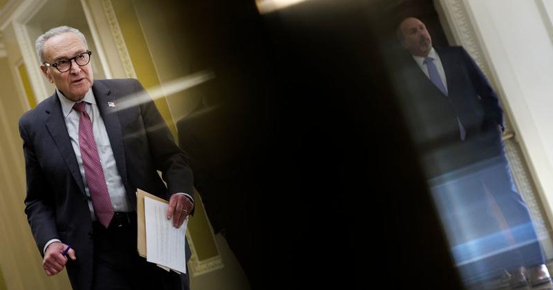 The Solution to Chuck Schumer