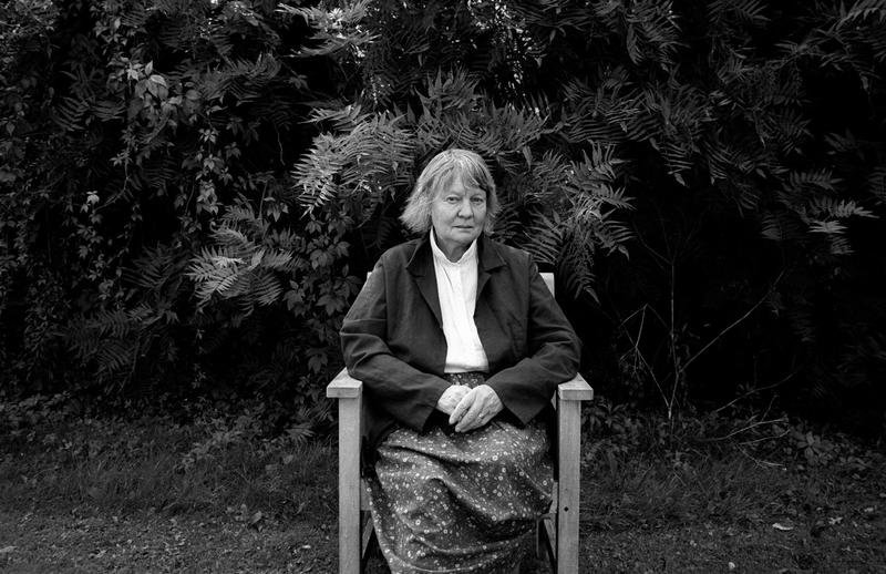 How I found an unexpected connection to science in the works of Iris Murdoch – by a molecular biophysicist