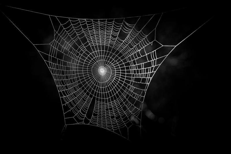 Forensic linguistics: how dark web criminals give themselves away with their language