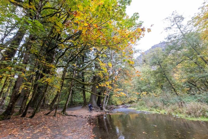 Letters Nov. 14: Goldstream park; war mementos Letters Nov. 14: Goldstream park; war mementos