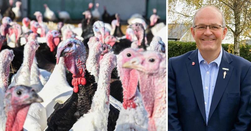 Farm leader says bird flu vaccines must be deployed to halt devastating outbreaks