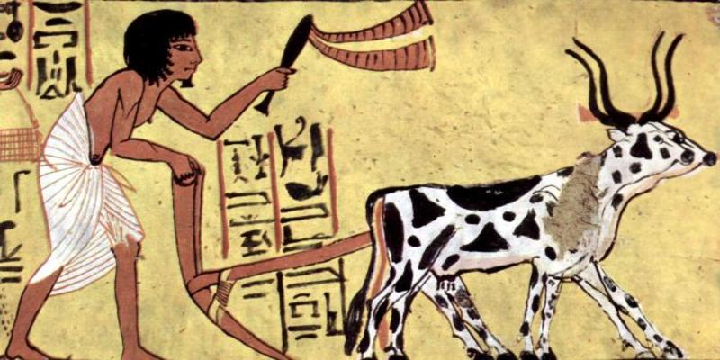 Il futuro è dei lavori creativi. Ma chi laverà le scale? Il futuro è dei lavori creativi. Ma chi laverà le scale?