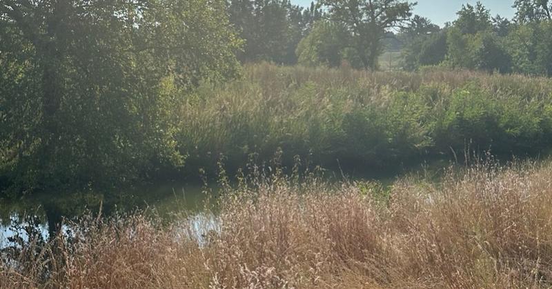 A Relationship With Grief