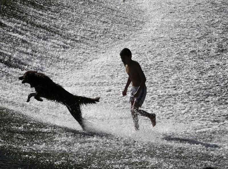 El perro, ‘mejor amigo’ del hombre desde hace más de 10.000 años El perro, ‘mejor amigo’ del hombre desde hace más de 10.000 años