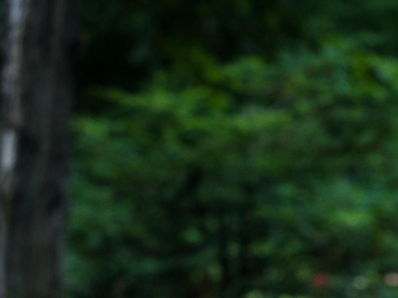 La relève philanthropique, c’est nous, les jeunes!