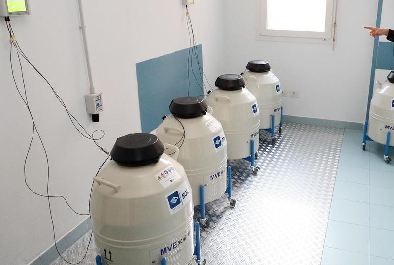 Inchiesta embrioni, nuovo blitz della Finanza. Il direttore indagato ha chiamato le pazienti