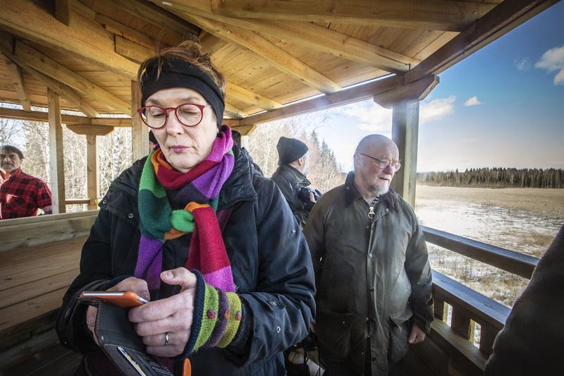 Politiikka | Lukijalta: Satu Hassin väite vailla pohjaa – metsätalous ei ole ilmastovastuun vapaamatkustaja