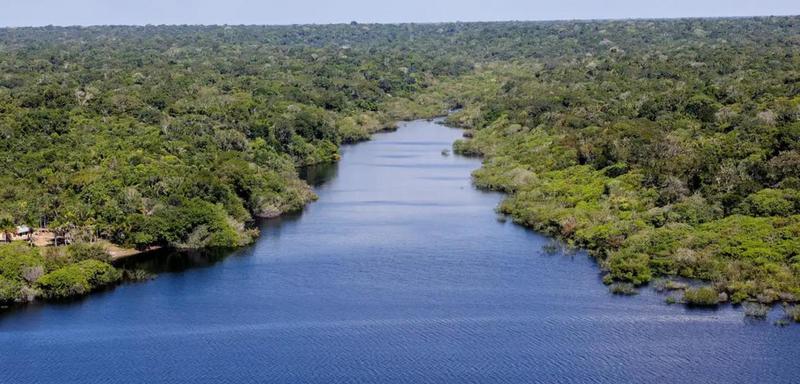 Amazônia na mira dos EUA: como a Operação Lança do Sul prepara a internacionalização da floresta