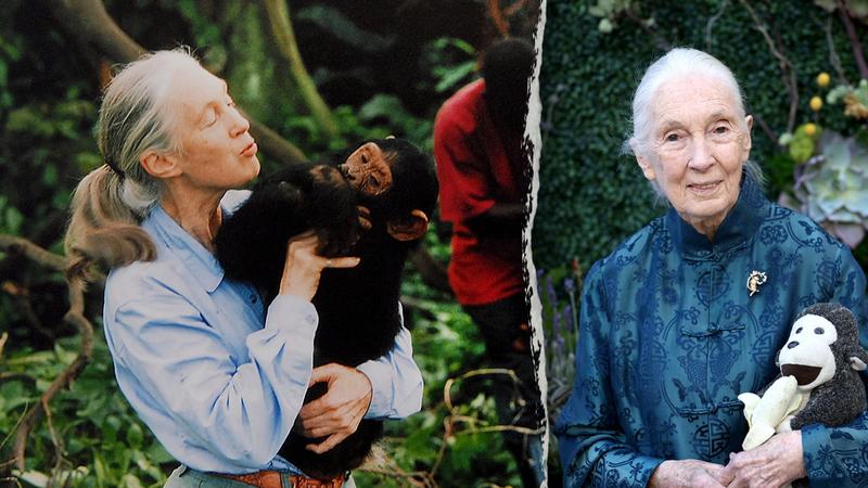 Jane Goodall’s surprising lesson on death changed how this retired pastor sees life Jane Goodall’s surprising lesson on death changed how this retired pastor sees life
