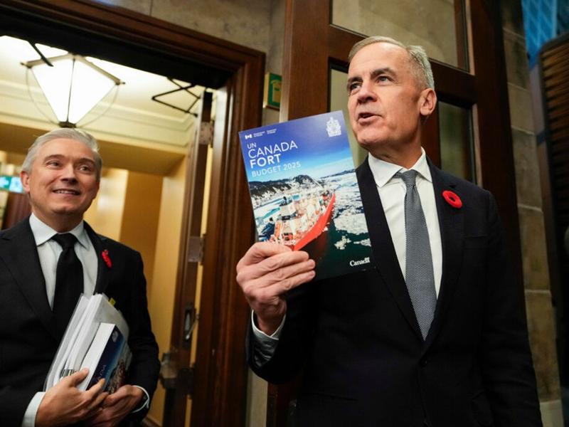 GOLDSTEIN: Carney’s budget won’t fix decade of Trudeau’s economic mismanagement GOLDSTEIN: Carney’s budget won’t fix decade of Trudeau’s economic mismanagement