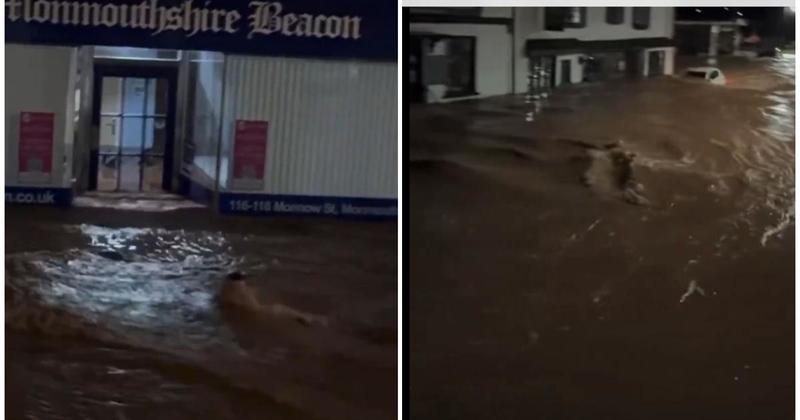 Apokaliptične scene, na snazi upozorenja: 'Ovo je katastrofa velikih razmjera, naše ekipe rade neumorno' Apokaliptične scene, na snazi upozorenja: 'Ovo je katastrofa velikih razmjera, naše ekipe rade neumorno'