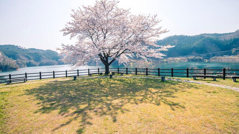 Die Wegwerfgesellschaft schafft sich selbst ab