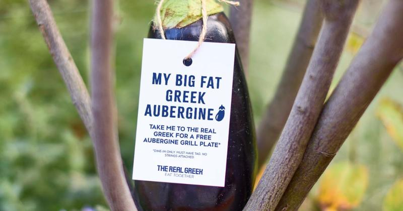 Aubergine hunt to win free Greek food for life near Norwich Aubergine hunt to win free Greek food for life near Norwich