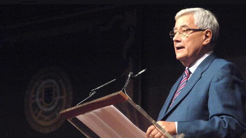 Don Julio, Paladín, don Domingo, Salcedo, Guillermo