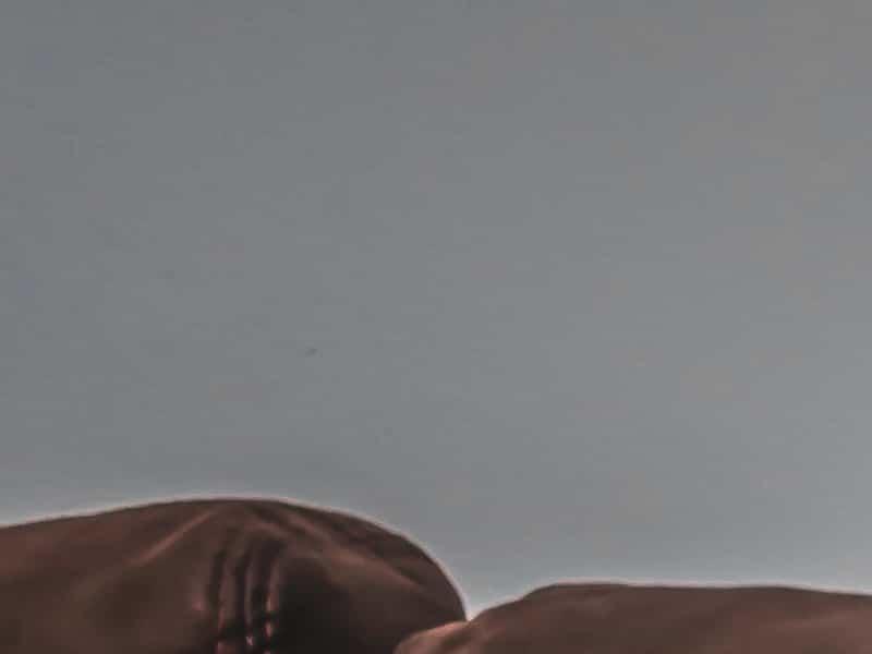 Hémorragie dans la lutte contre les agressions