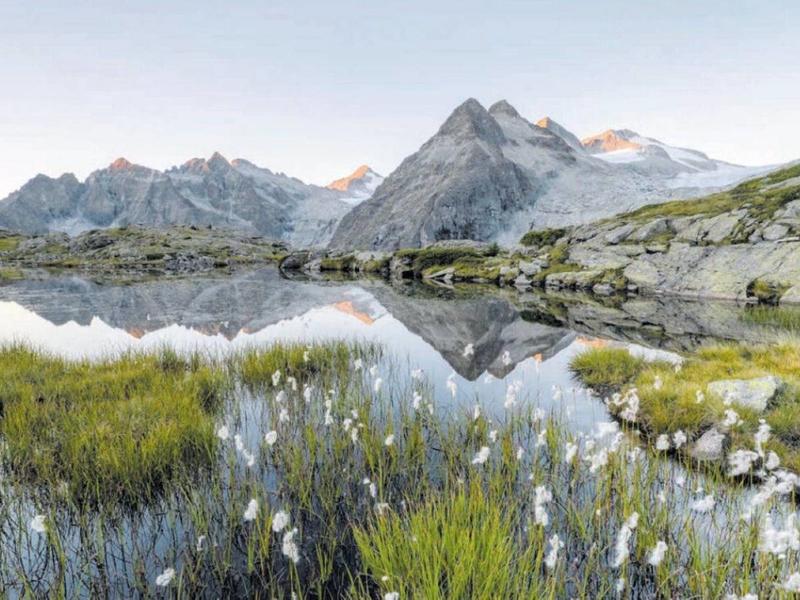 La nostra fragilità è un valore aggiunto che ci rende unici. Il peccato è non capirlo La nostra fragilità è un valore aggiunto che ci rende unici. Il peccato è non capirlo