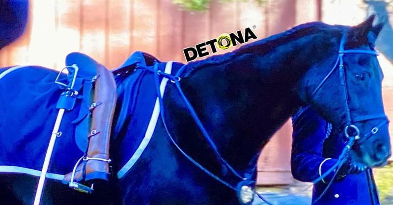 Es México, un país sin jinete