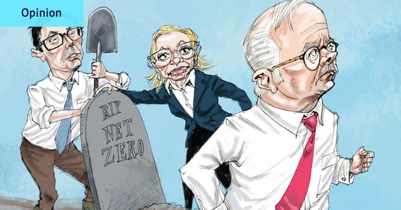 You thought climate was a Coalition problem, but Albanese may rue his enemy’s low ebb