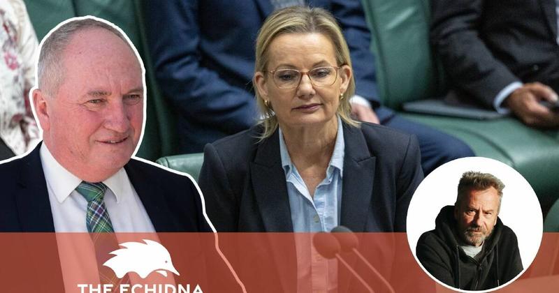 Net zero: this doesn't go with that at Sussan