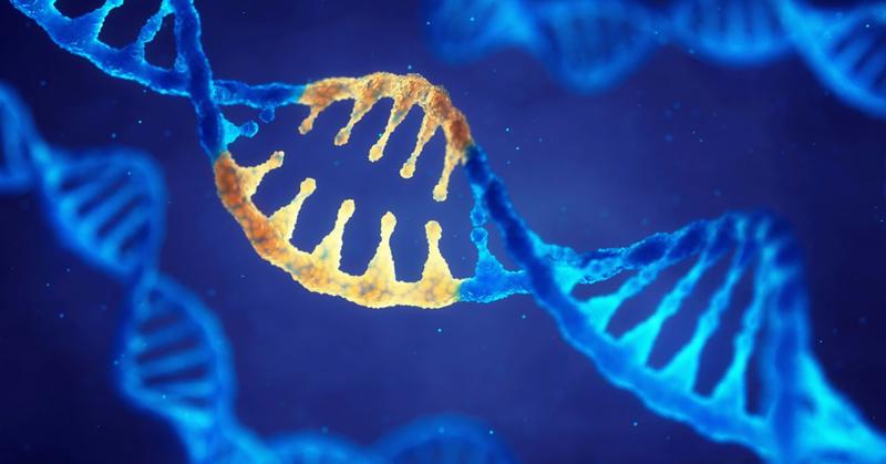 Mapping the Genetic Landscape of Autism Mapping the Genetic Landscape of Autism