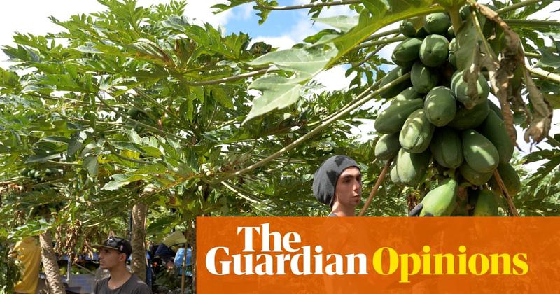 There are many ways to spend your gap year that will reward you later