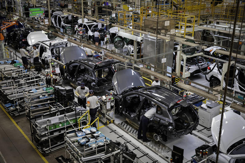 Vira-latas climáticos em tempos de COP30