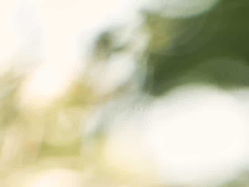 Si nous regardions la vraie taille de nos GES