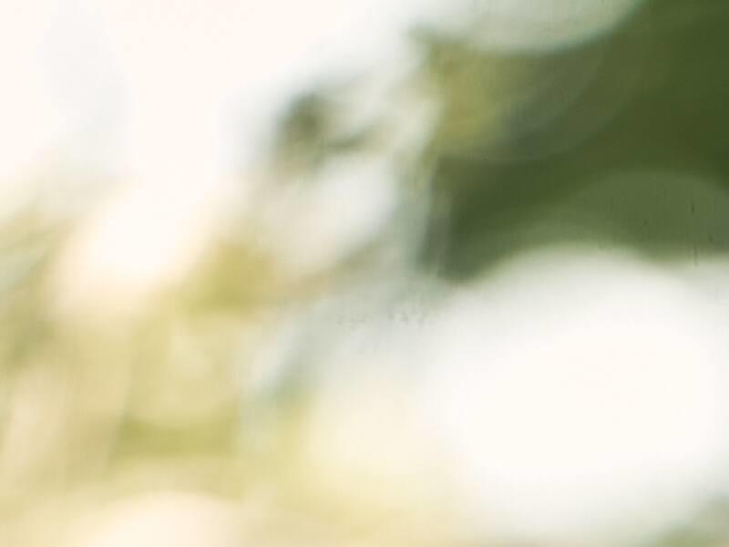 Si nous regardions la vraie taille de nos GES