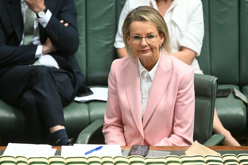 View from The Hill: The Liberals may fell Sussan Ley but she won’t make it easy for Taylor and Hastie